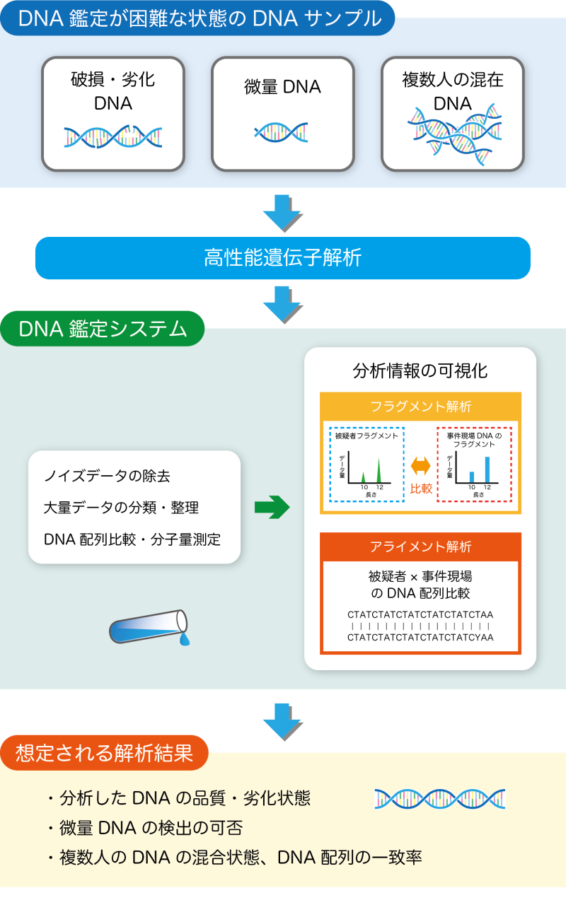 DNA鑑定システム概要